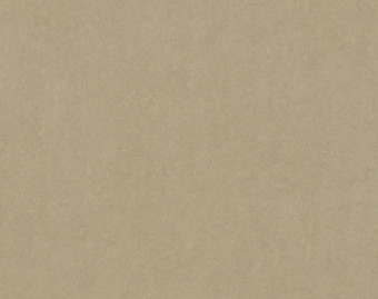 [100111112_15] Marmoleum Fresco - 3890 oat